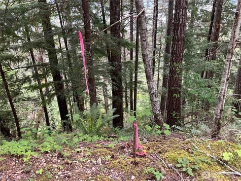 6 X N Colony Surf Drive Lilliwaup WA 98555
