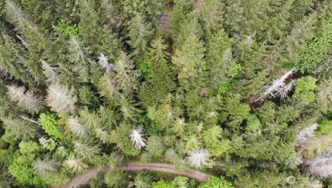 6 X N Colony Surf Drive Lilliwaup WA 98555