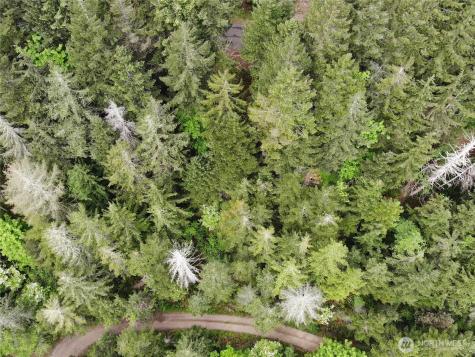 6 X N Colony Surf Drive Lilliwaup WA 98555