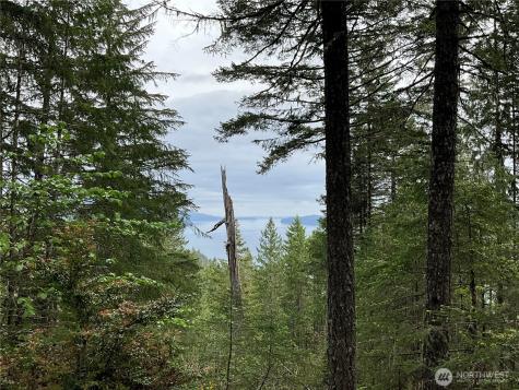 6 X N Colony Surf Drive Lilliwaup WA 98555