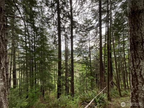 6 X N Colony Surf Drive Lilliwaup WA 98555