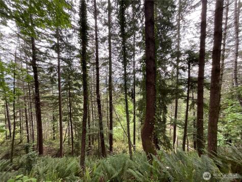6 X N Colony Surf Drive Lilliwaup WA 98555