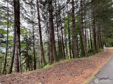 6 X N Colony Surf Drive Lilliwaup WA 98555