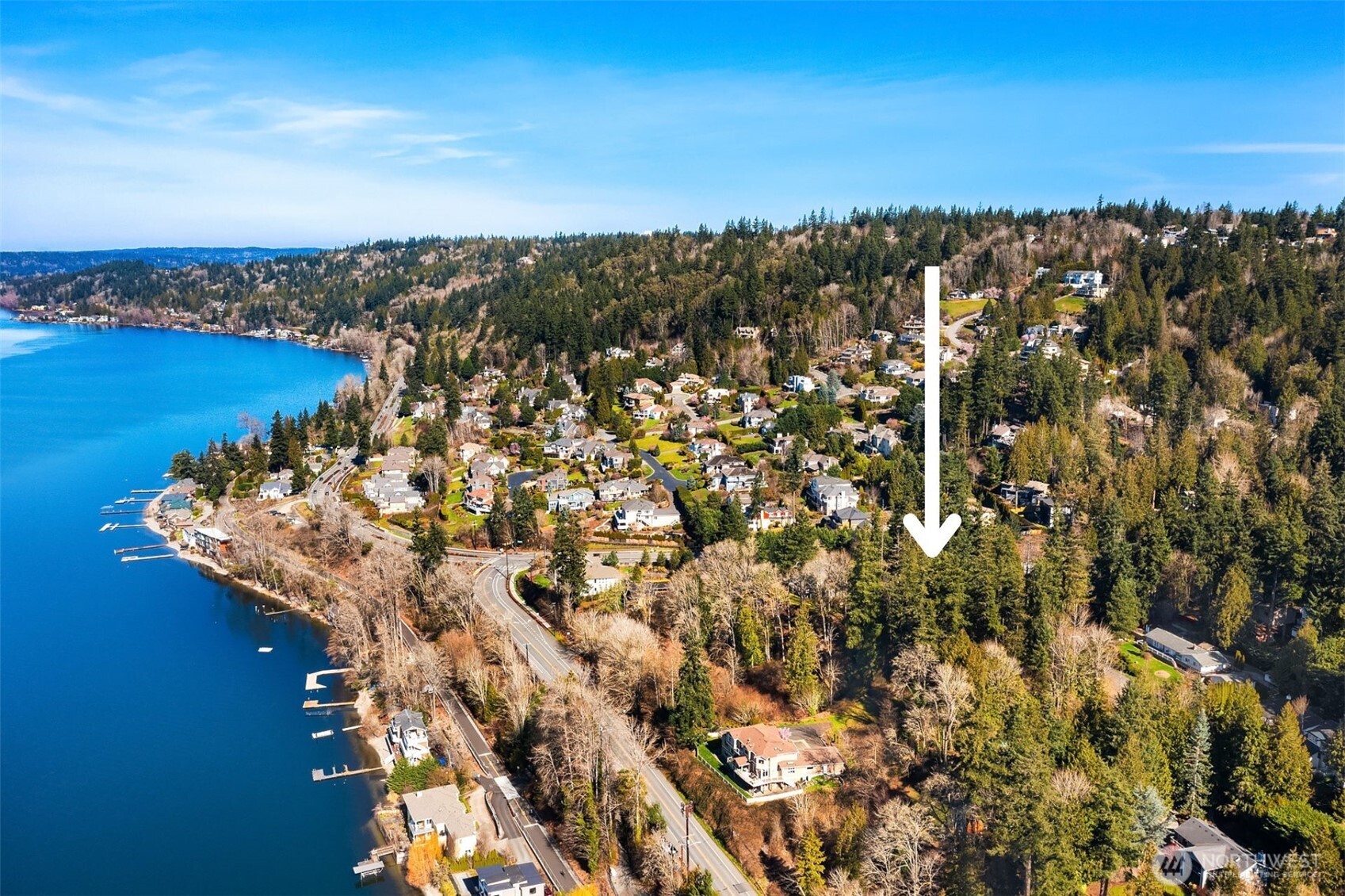 11 205th Avenue NE Sammamish WA 98075