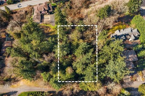 11 205th Avenue NE Sammamish WA 98075