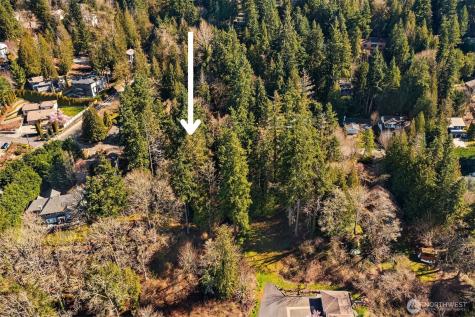 11 205th Avenue NE Sammamish WA 98075