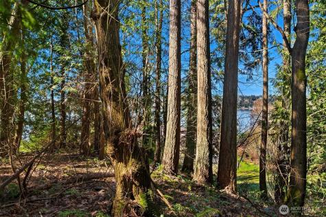 11 205th Avenue NE Sammamish WA 98075