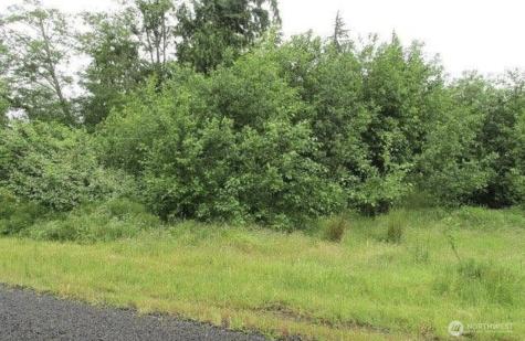 0 Lomax Street Aberdeen WA 98520