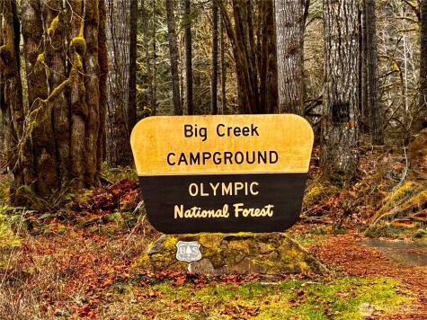 30 N Discovery Place Hoodsport WA 98548