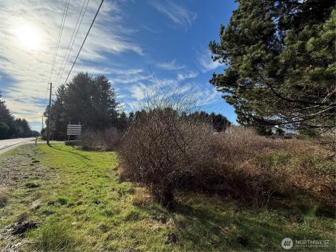139 Pacific Way Long Beach WA 98631