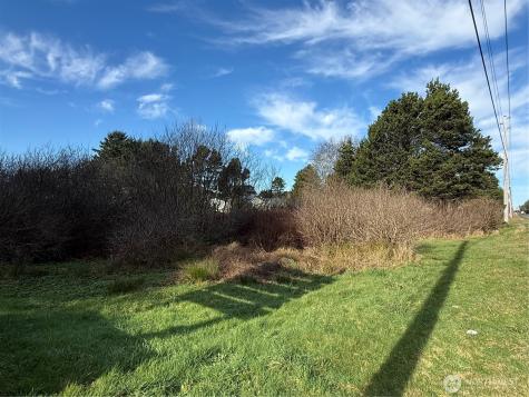 139 Pacific Way Long Beach WA 98631