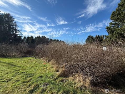 139 Pacific Way Long Beach WA 98631
