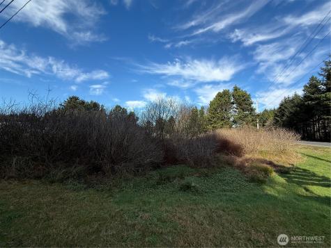 139 Pacific Way Long Beach WA 98631