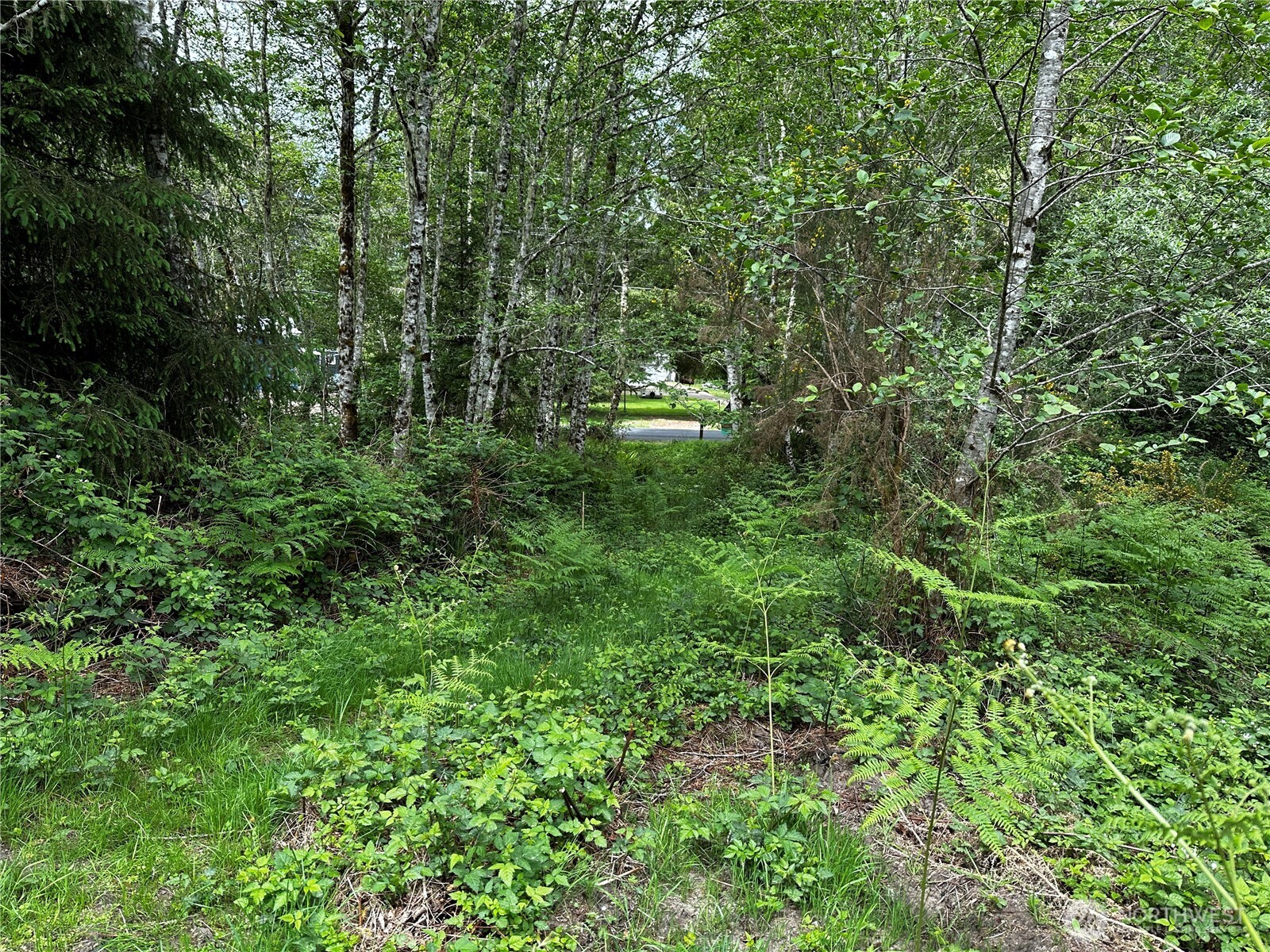 31104 Sandridge Road Oysterville WA 98640
