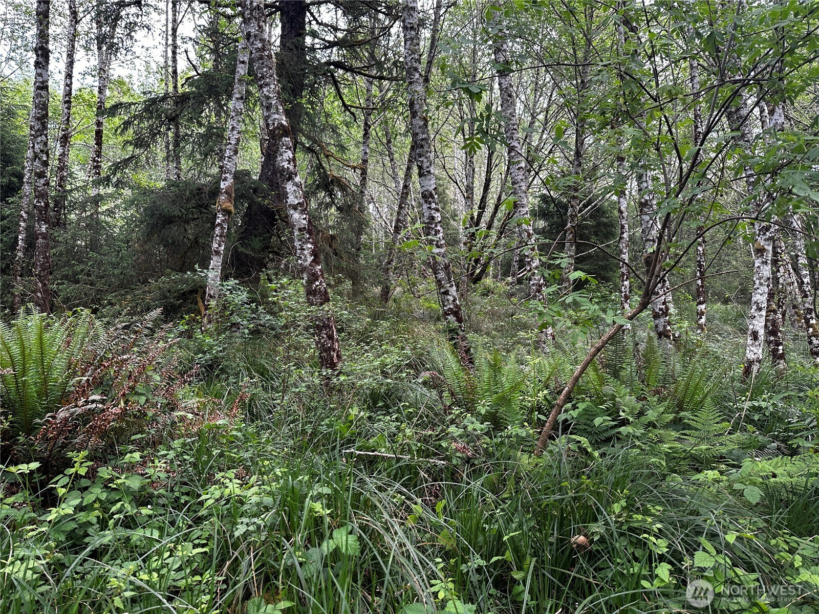31104 Sandridge Road Oysterville WA 98640