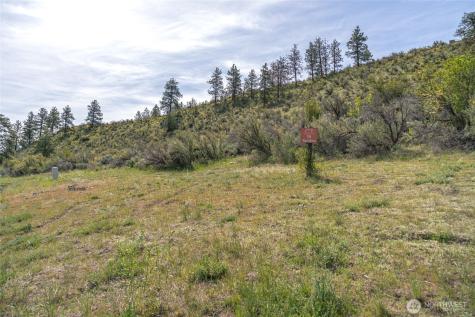 215 Bandera Way Chelan WA 98816