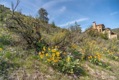 215 Bandera Way Chelan WA 98816