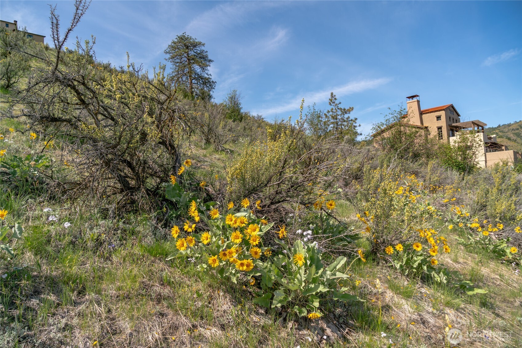 215 Bandera Way Chelan WA 98816