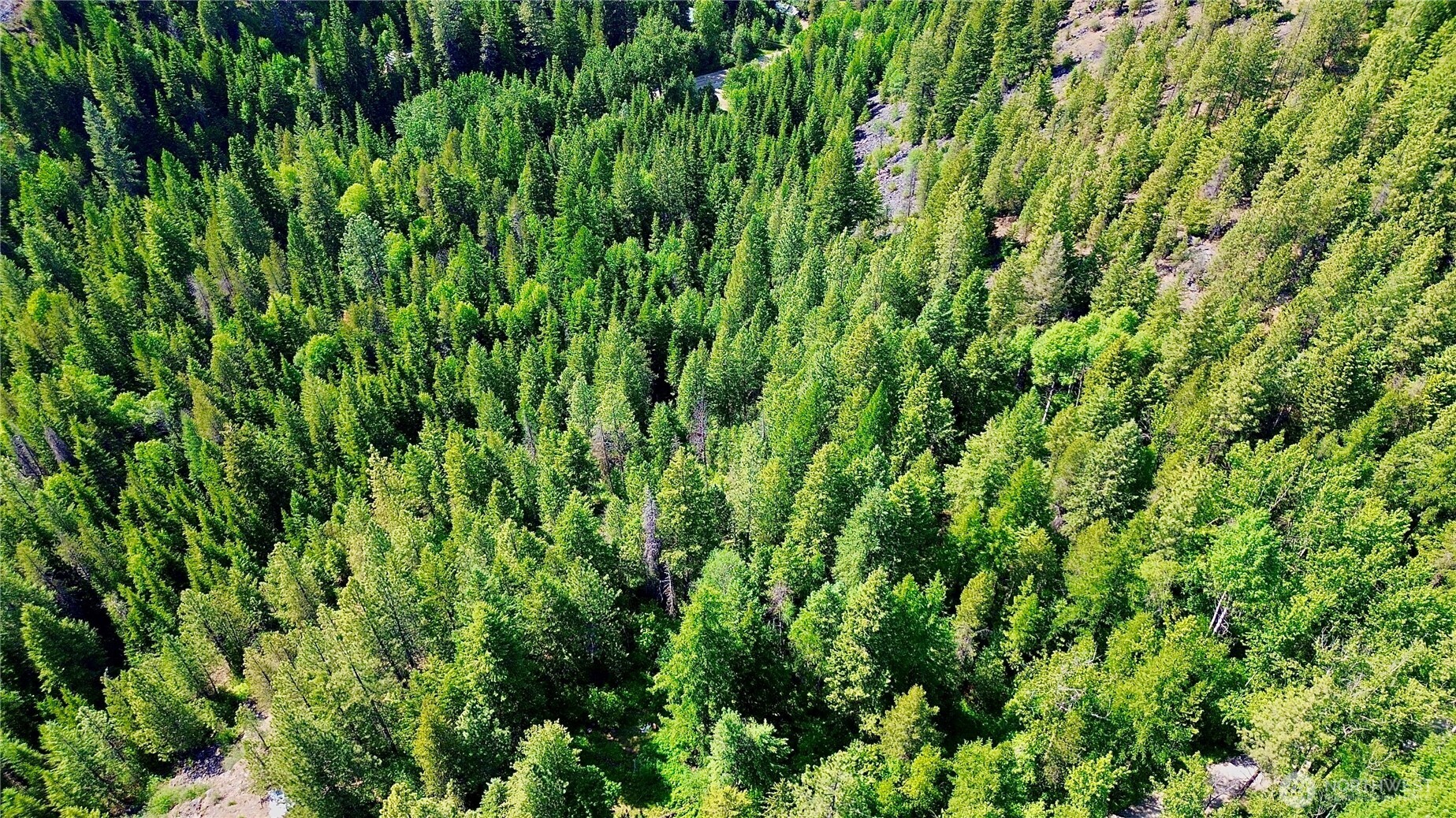 0 Mccloud Creek Road Newport WA 99156