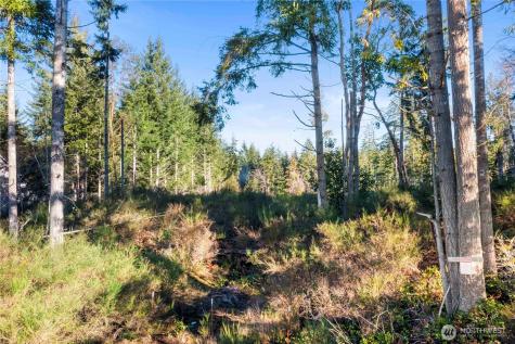 0 E Harstine Island Road S Shelton WA 98584