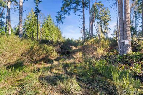 0 E Harstine Island Road S Shelton WA 98584