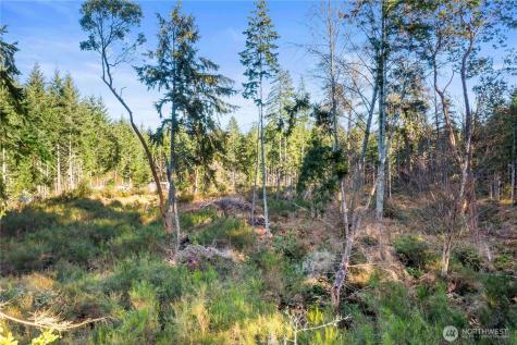 0 E Harstine Island Road S Shelton WA 98584