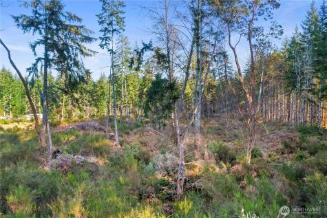 0 E Harstine Island Road S Shelton WA 98584