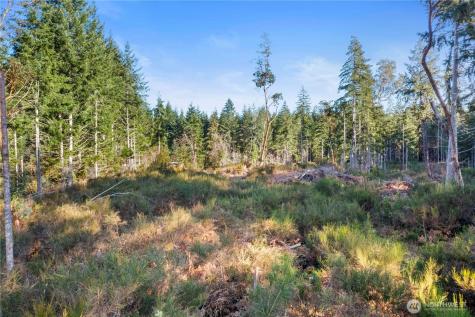 0 E Harstine Island Road S Shelton WA 98584
