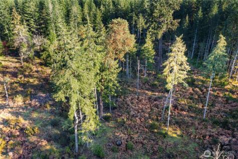 0 E Harstine Island Road S Shelton WA 98584