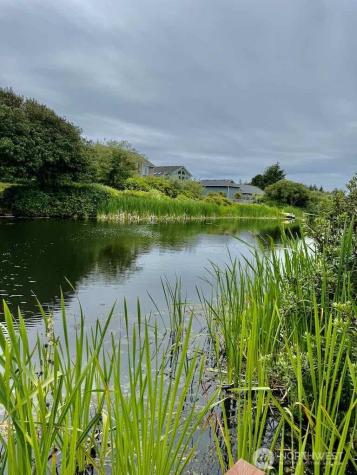 311 Cockle Street SW Ocean Shores WA 98569