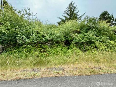 311 Cockle Street SW Ocean Shores WA 98569