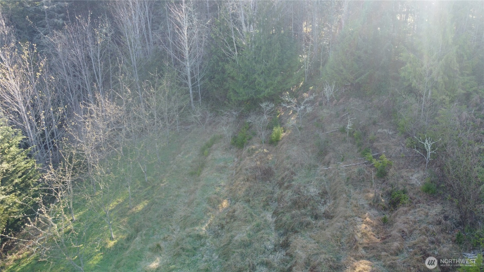 445 Watershed Road Port Angeles WA 98362