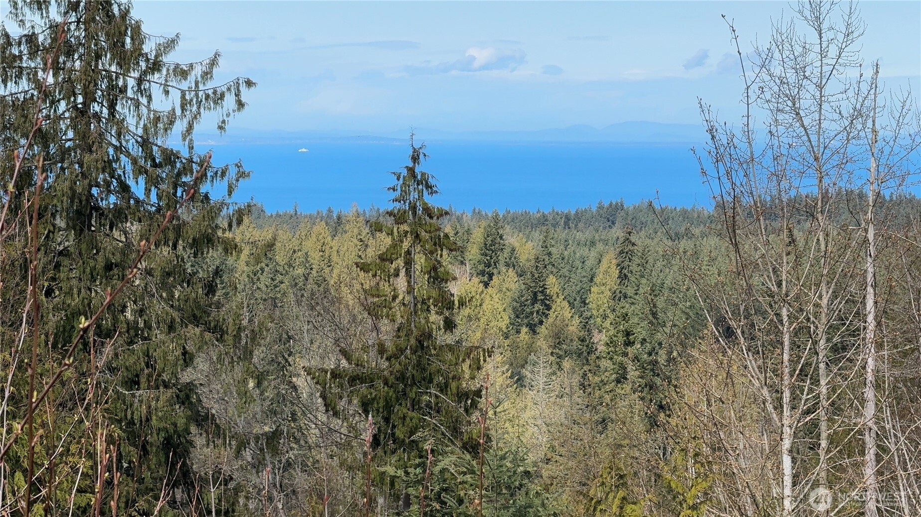 445 Watershed Road Port Angeles WA 98362