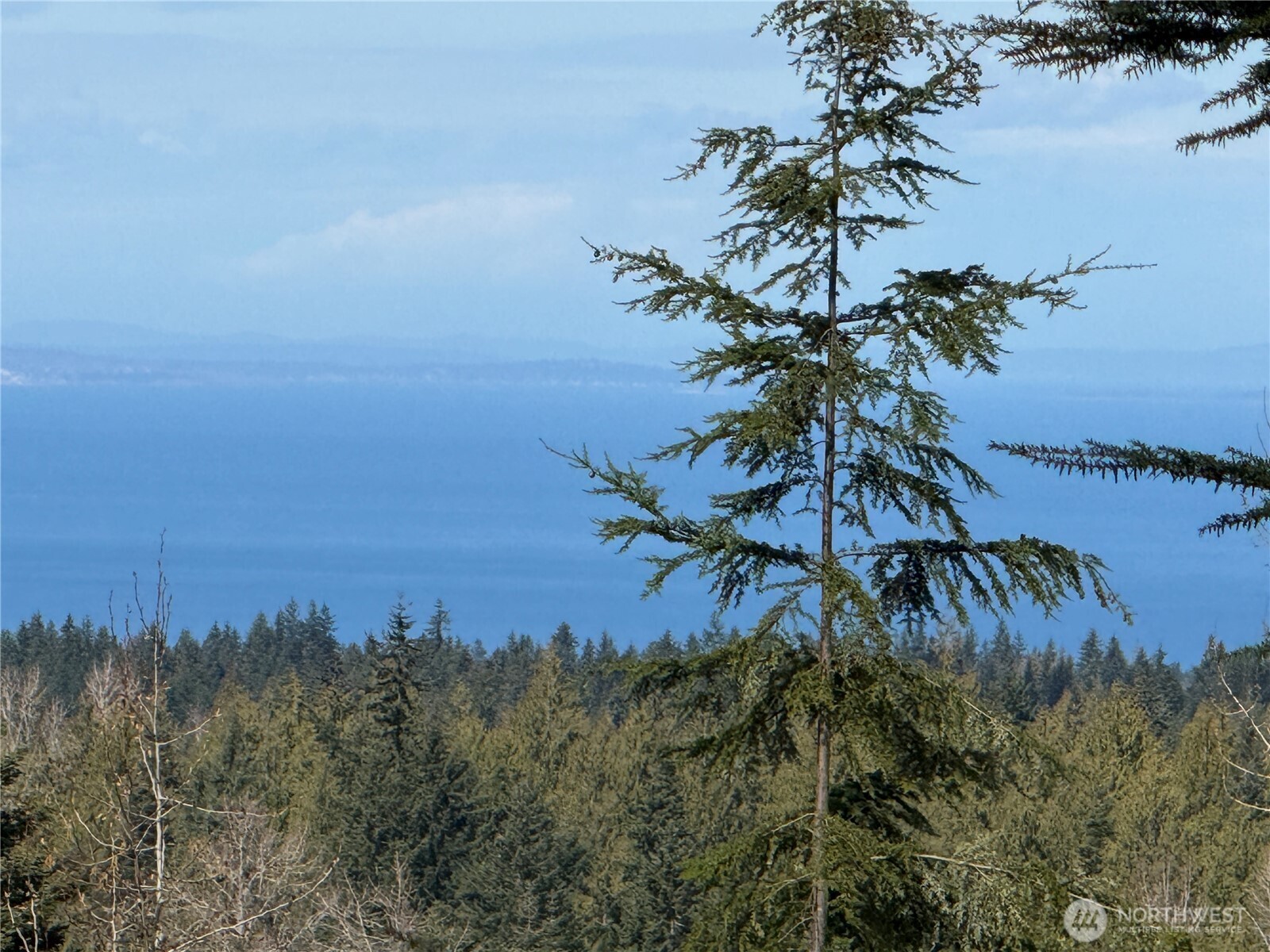 445 Watershed Road Port Angeles WA 98362