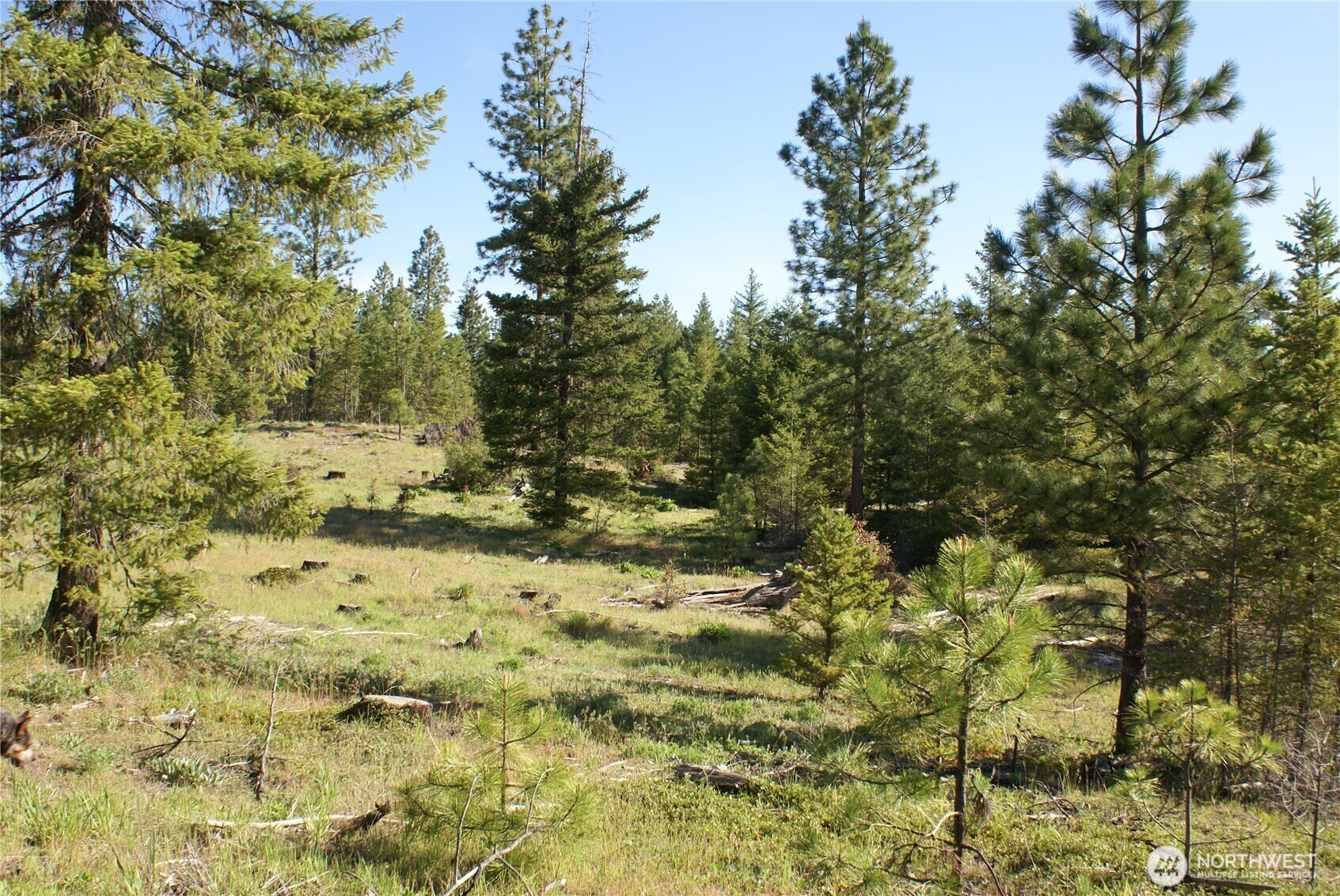 5 Sky Road Goldendale WA 98620