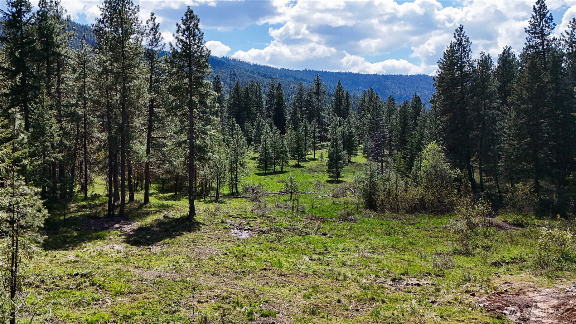 325 Graham Road Cle Elum WA 98922