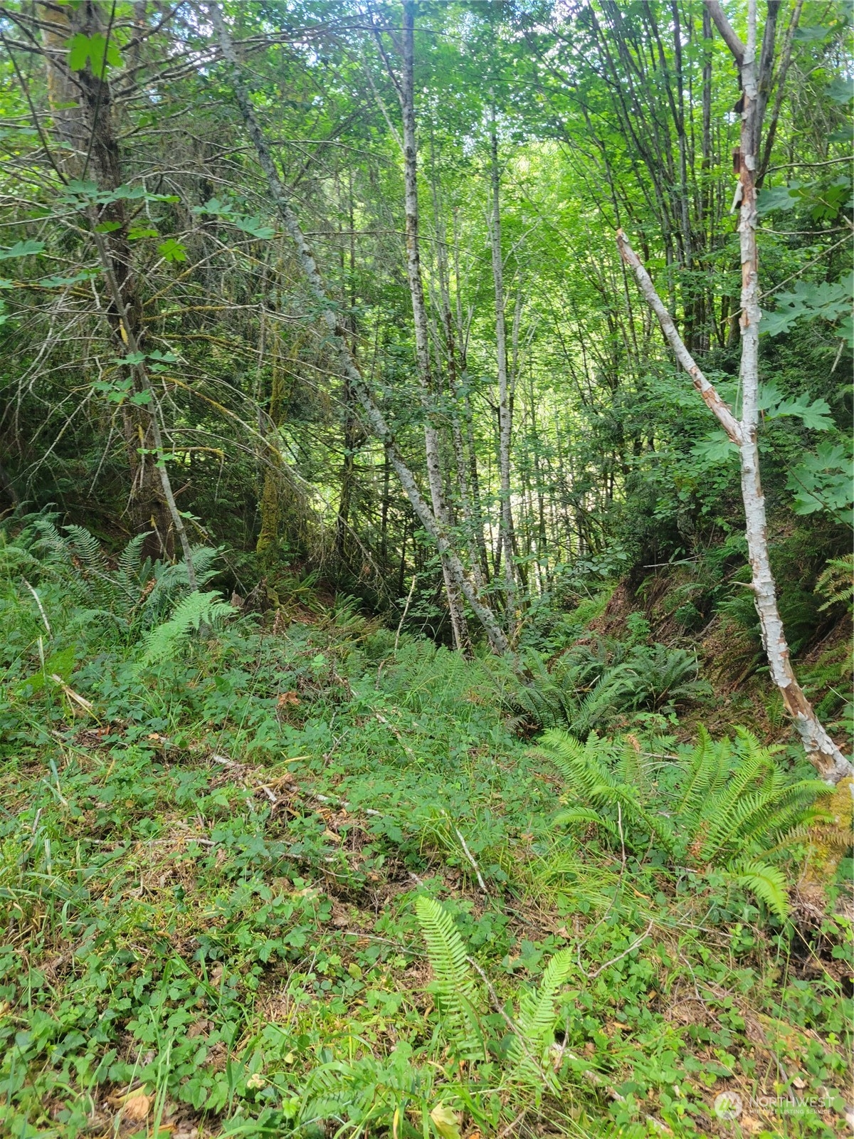 930 E Wilson Way Grapeview WA 98546