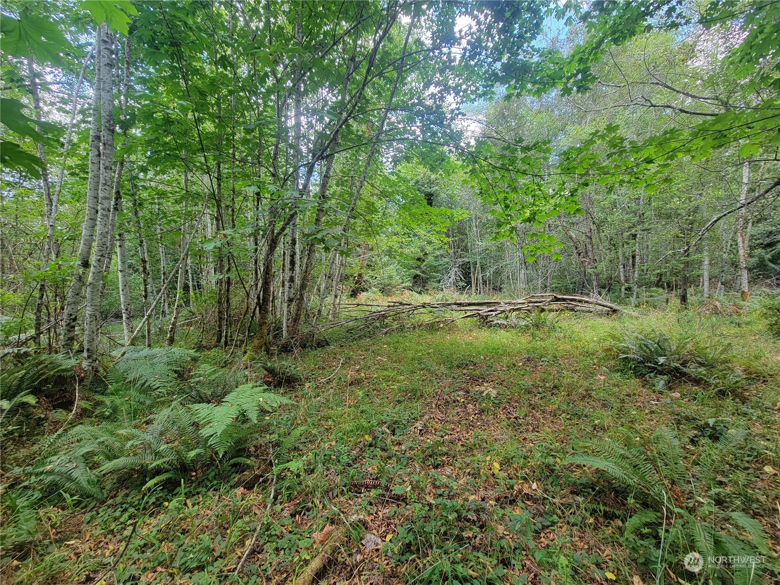 930 E Wilson Way Grapeview WA 98546