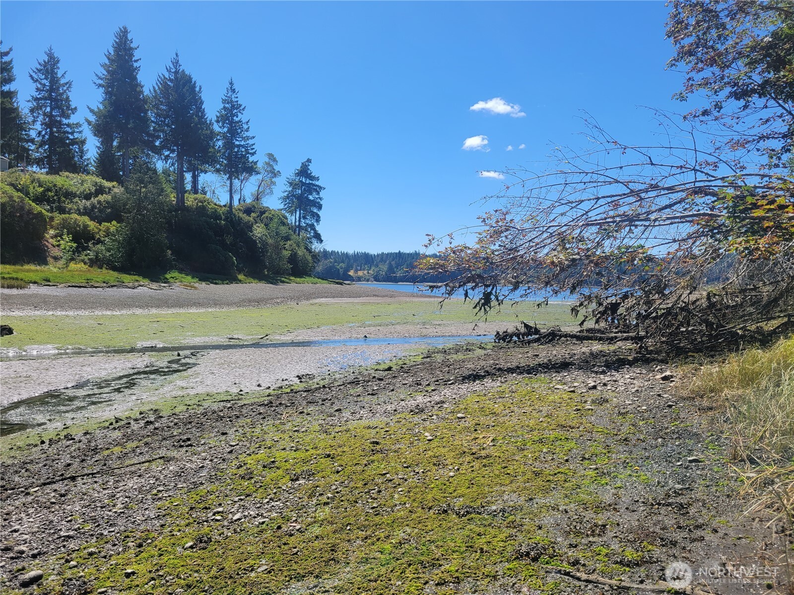 930 E Wilson Way Grapeview WA 98546