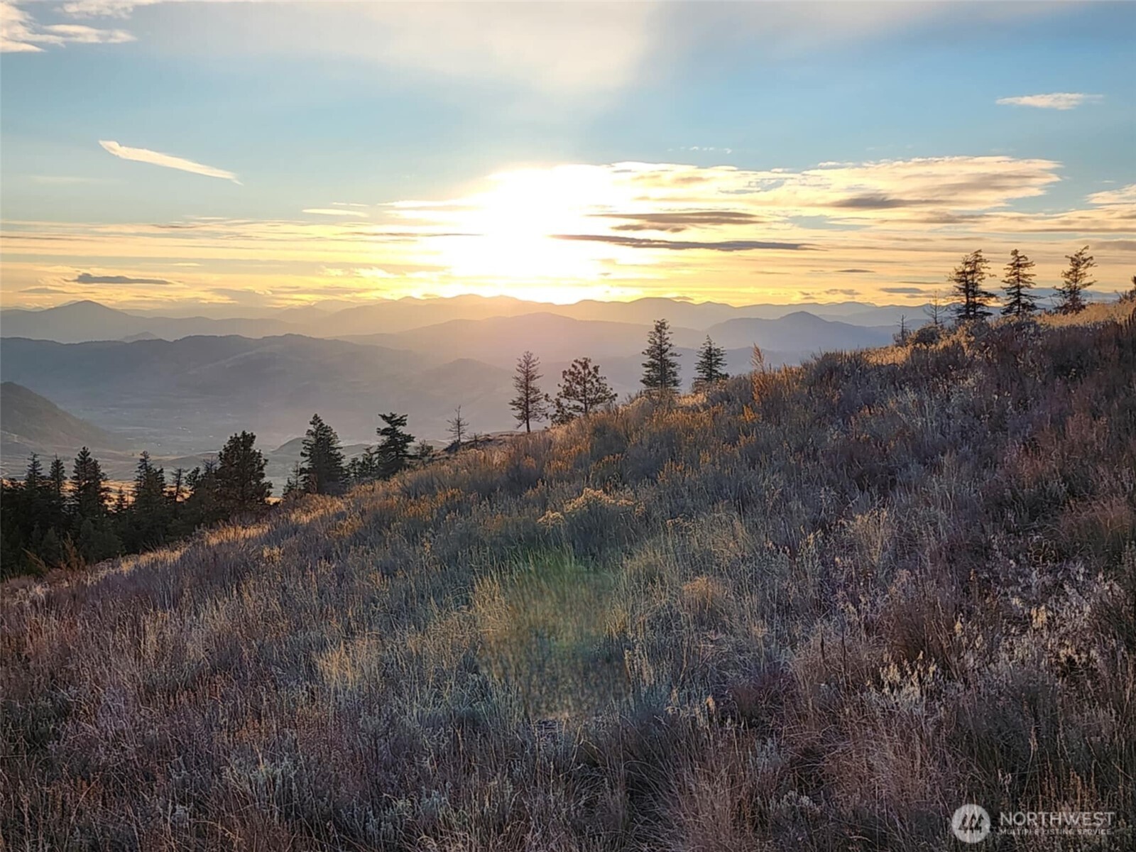 0 Blue Grouse (Div 5, Lot 42) Oroville WA 98844