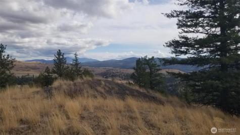 0 Blue Grouse (Div 5, Lot 42) Oroville WA 98844