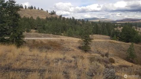 0 Blue Grouse (Div 5, Lot 42) Oroville WA 98844