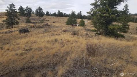 0 Blue Grouse (Div 5, Lot 42) Oroville WA 98844