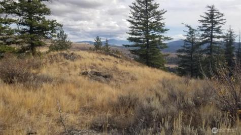 0 Blue Grouse (Div 5, Lot 42) Oroville WA 98844