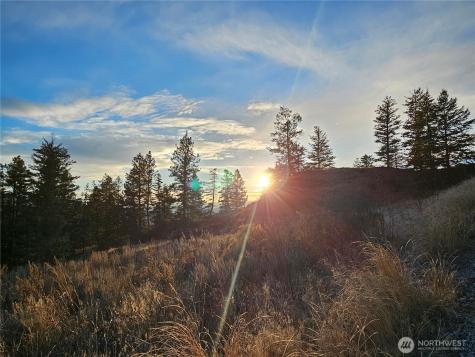 0 Blue Grouse (Div 5, Lot 42) Oroville WA 98844