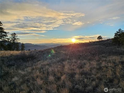 0 Blue Grouse (Div 5, Lot 42) Oroville WA 98844