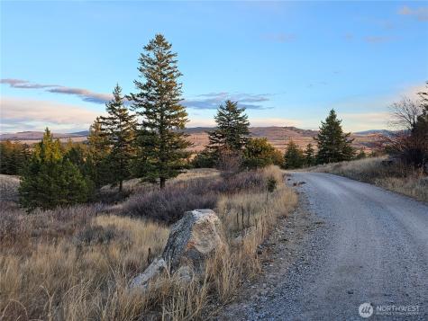 0 Blue Grouse (Div 5, Lot 42) Oroville WA 98844