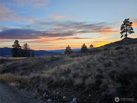 0 Blue Grouse (Div 5, Lot 42) Oroville WA 98844
