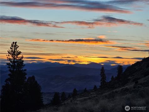 0 Blue Grouse (Div 5, Lot 42) Oroville WA 98844