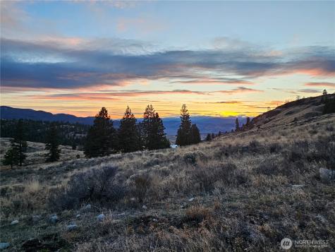 0 Blue Grouse (Div 5, Lot 42) Oroville WA 98844